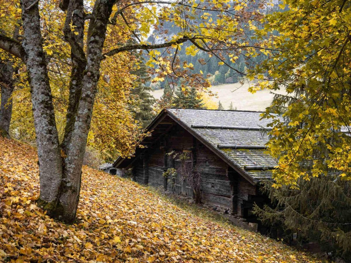 Chalet 3*, Ferme Renovee, 10 Pers, Proche Pistes, Garage, Animaux Admis - Fr-1-304-162 Ла-Клюсаз Экстерьер фото